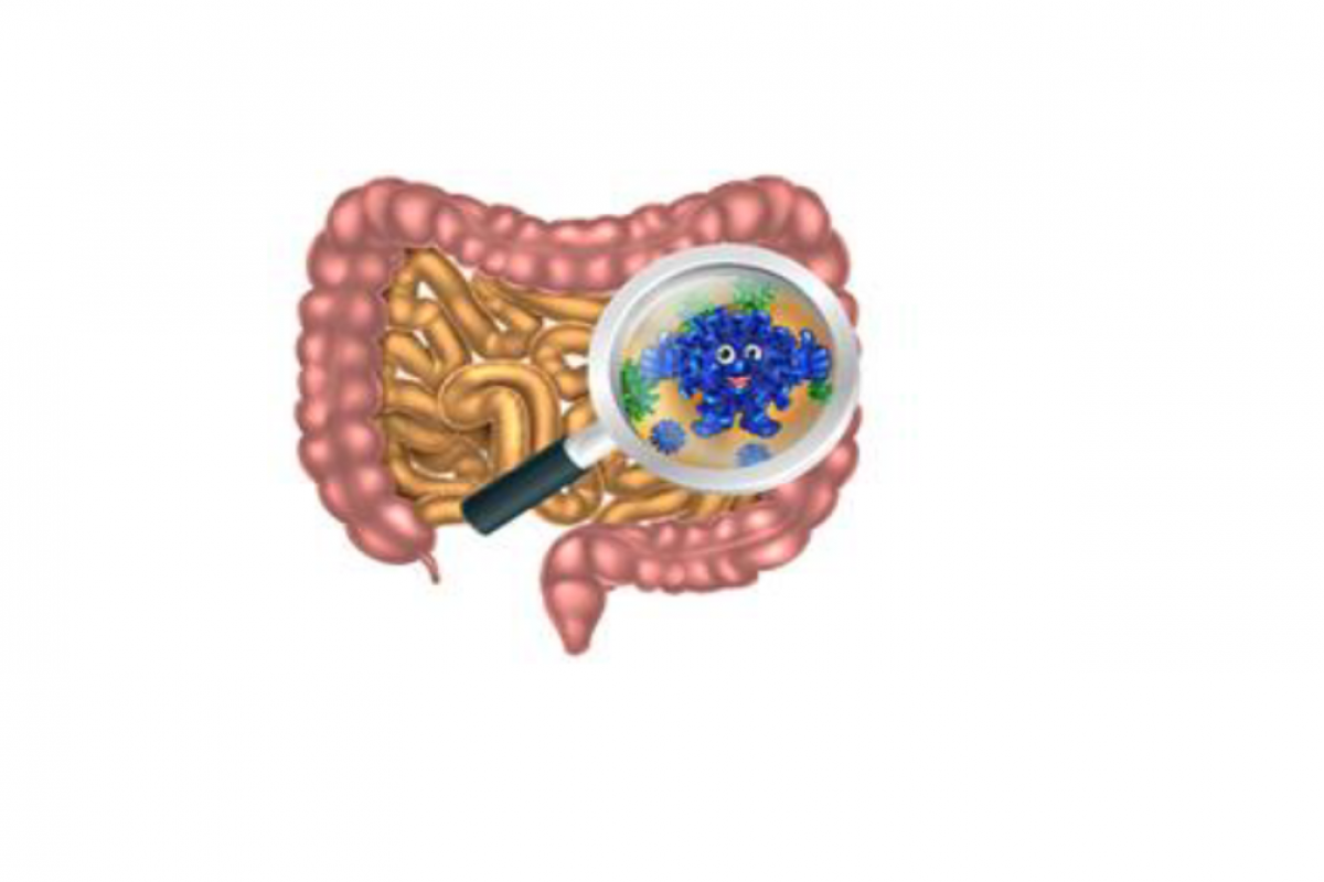 gastro
