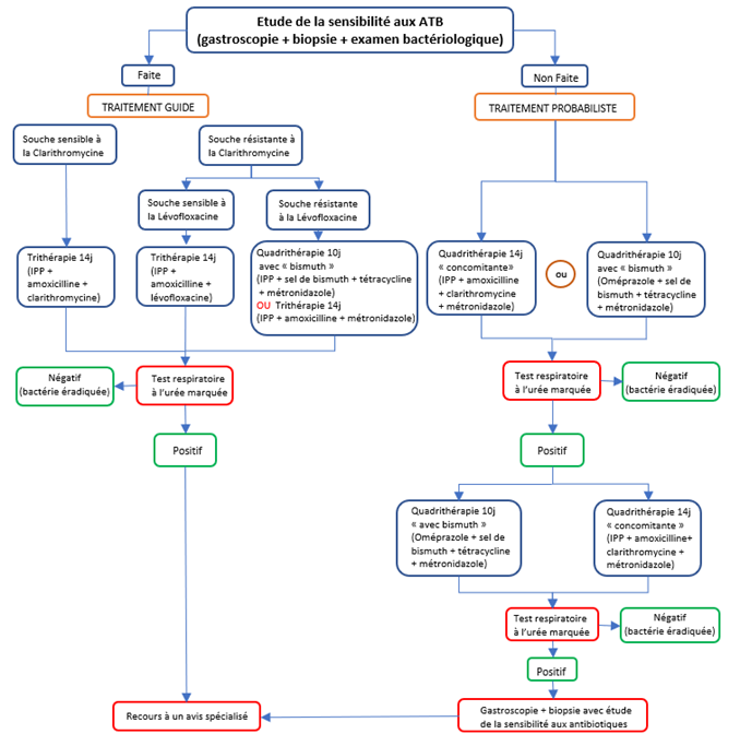 Traitement Helicobacter Pylori